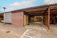 Vrouwenmantel 81  Schoonhoven 070.jpg